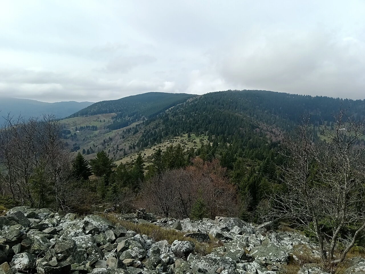 Domaine du Rouge gazon photos : comprendre et améliorer votre pelouse