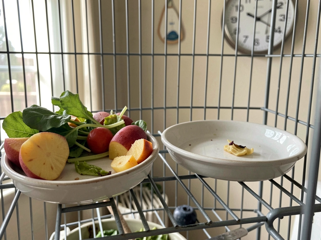 Fresh fruit in a bird bowl shown with a clock-like timing moment and removal