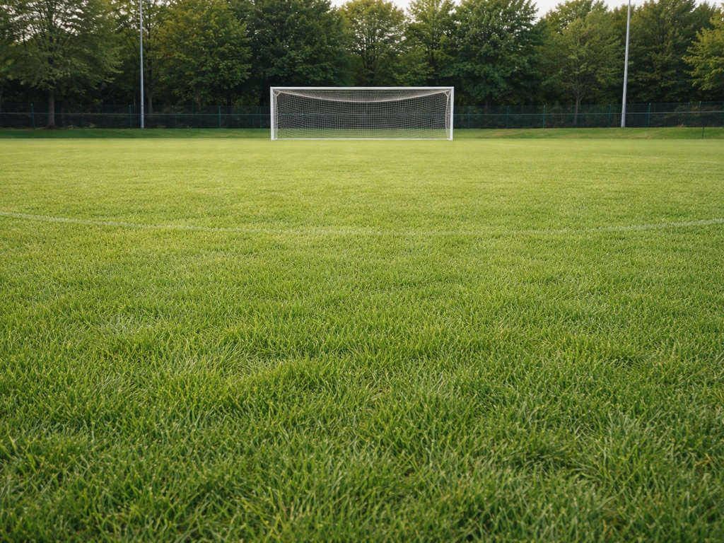 Gazon pour terrain de sport : choix, pose et entretien