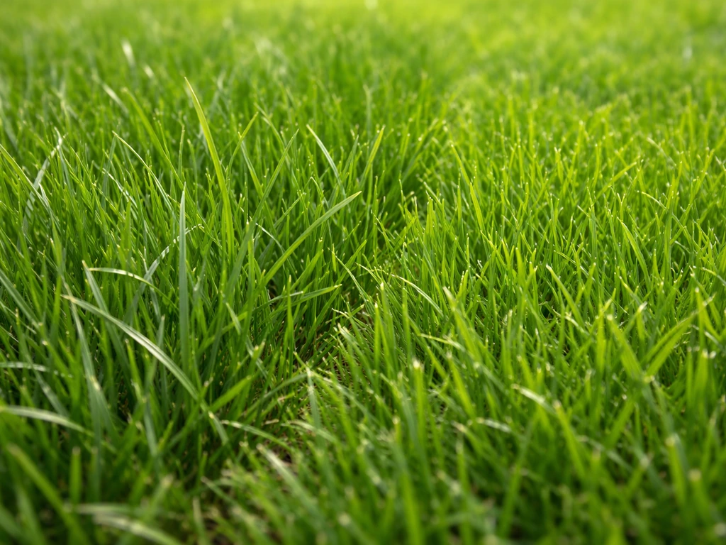 Close-up van grassprieten in een gazon met ruwe textuur en subtiele kleurverschillen tussen hard en normaal gras.