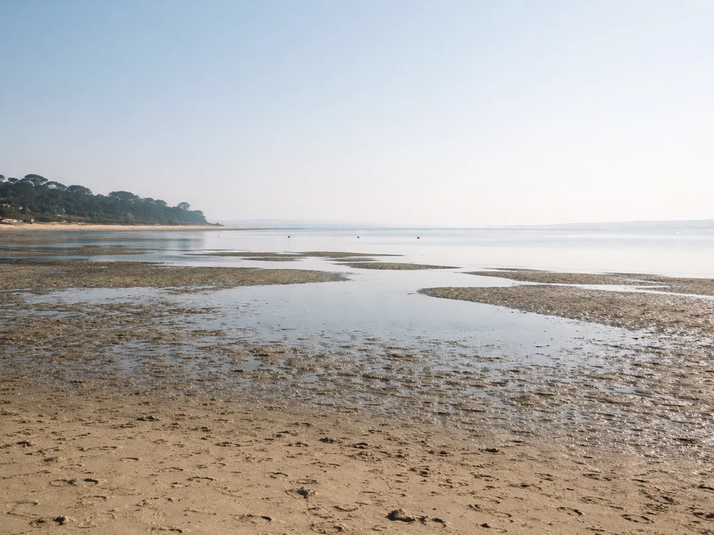 Plage de l’Herbe à marée basse : sable humide et bassin partiellement découvert, reflets calmes sur l’eau.