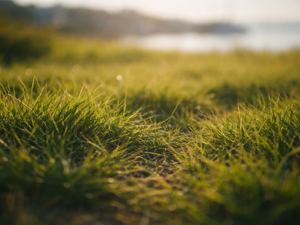 Gros plan d’herbe rase aux teintes jaune-vert et vert, avec contraste ombre-lumière pour guider l’observation.