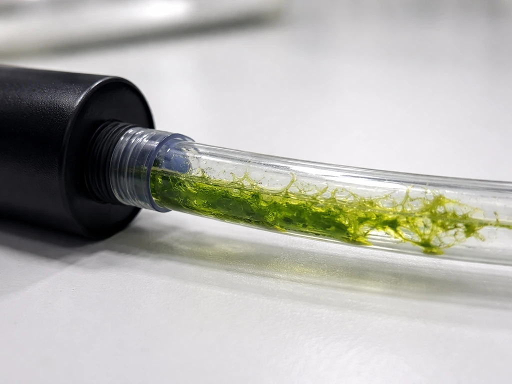 Close-up of transparent tubing with green algae and slime, next to a light-blocking opaque reservoir cover.