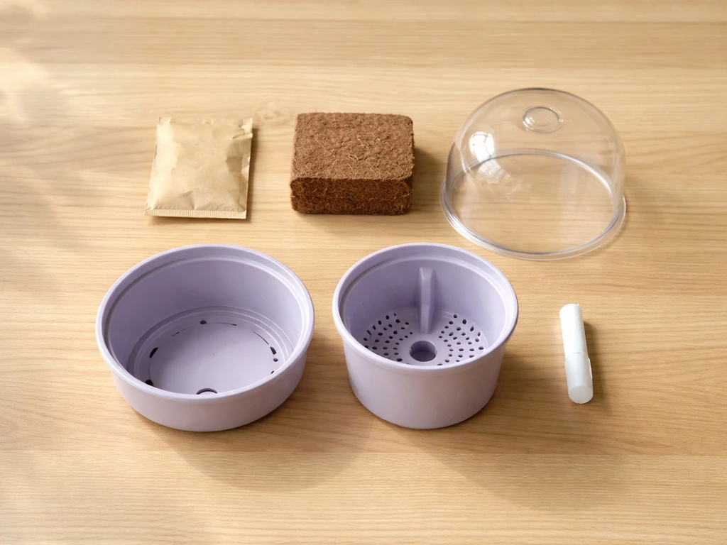 Buzzy Lavender Grow Kit Instructions: Step by Step