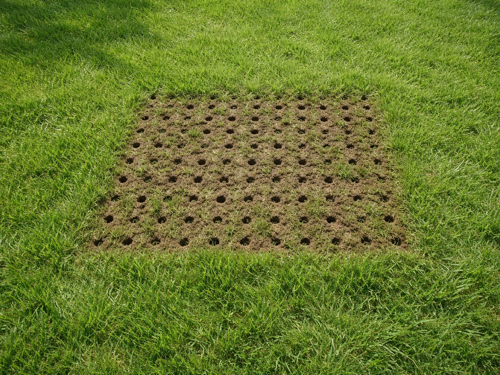 Hoe vaak gras beluchten: richtlijnen per seizoen en grondtype