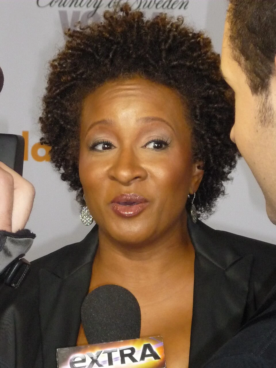 net worth wanda sykes