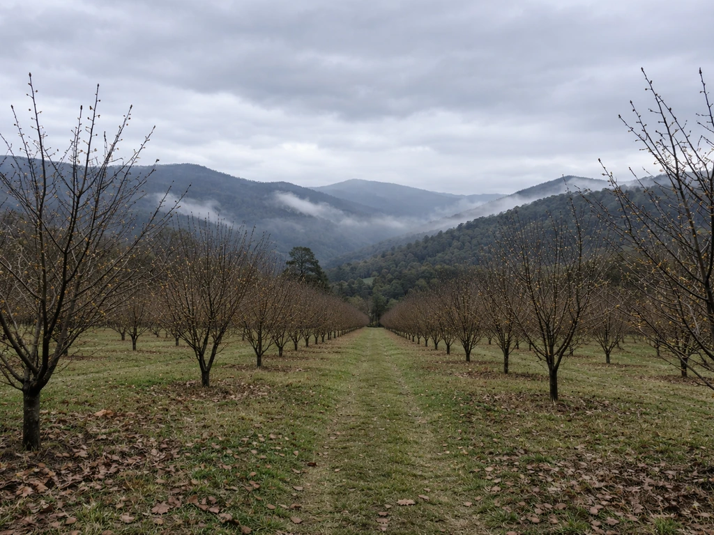 Cold elevated hills in Victoria with hazelnut trees in the background under overcast sky.