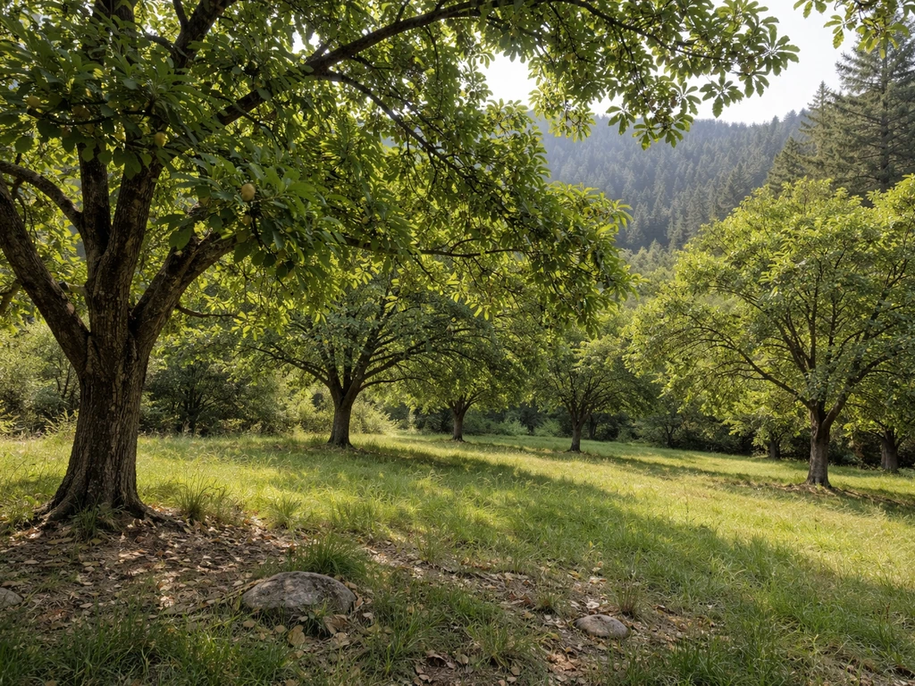 Where Do English Walnuts Grow Best and Can You Grow Them