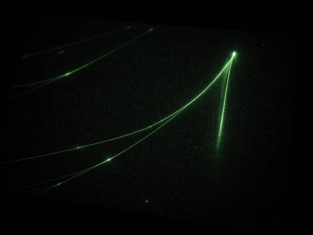 Fluorescent microtubules on a dark microscope stage with an anonymous plus-end trace over time