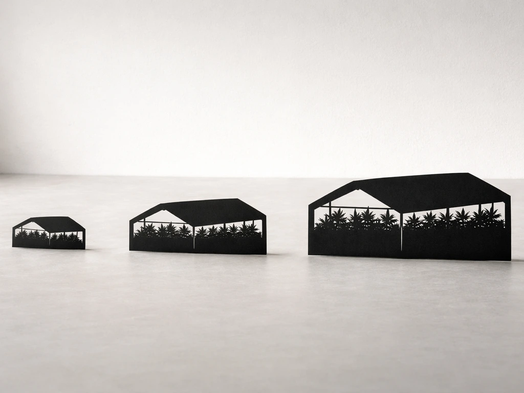 Minimal photo showing simple canopy silhouette groups representing NY cannabis cultivation license tiers.