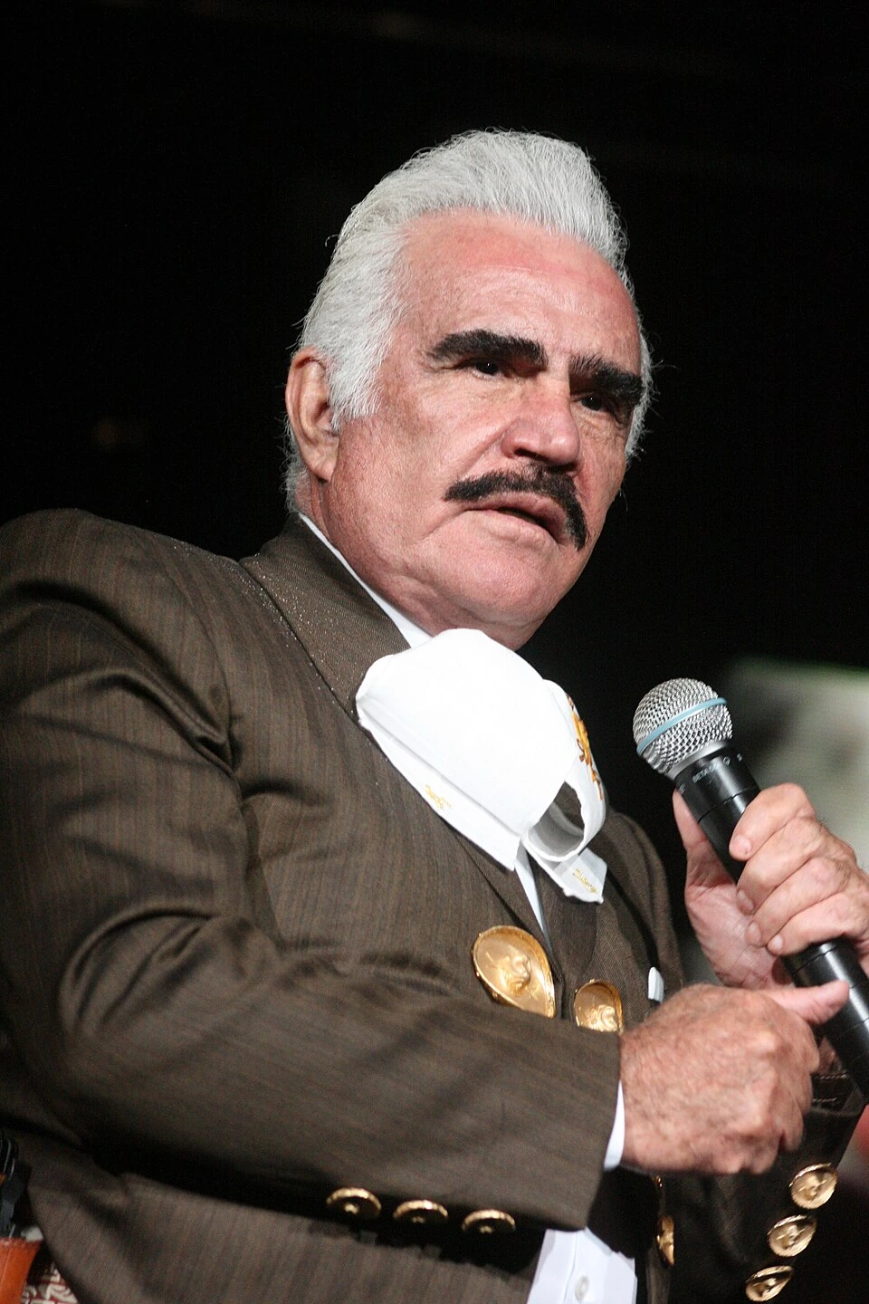 Net Worth Vicente Fernández: How Much and How Estimated