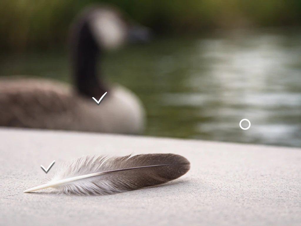 Close-up feather on a neutral surface with a softly blurred goose neck and subtle check markers.