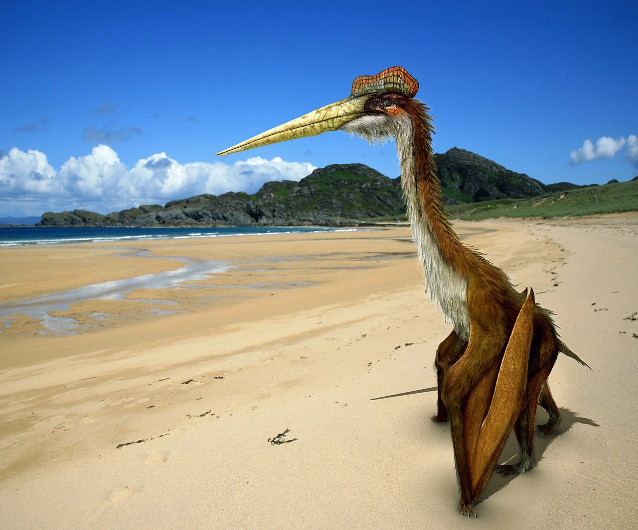 is a quetzalcoatlus a bird