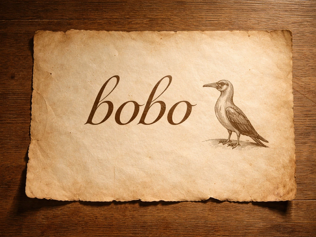 Vintage paper illustration with a small booby bird silhouette and the Spanish word “bobo” context