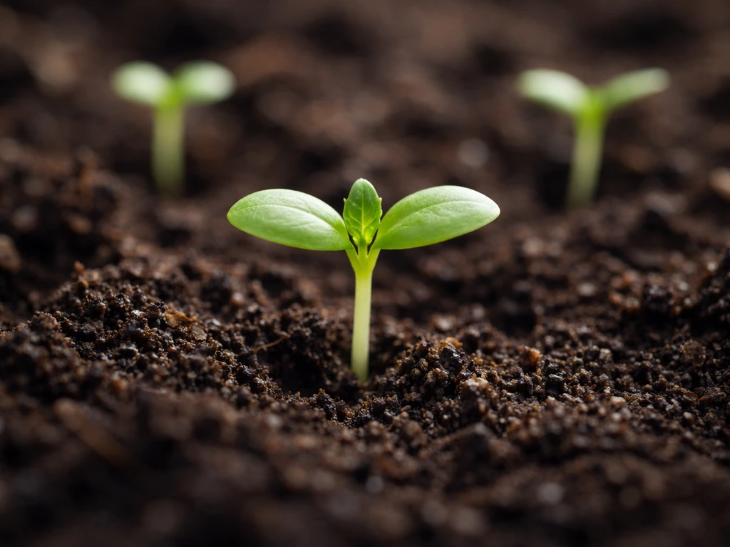 Macro of emerging seedlings with cotyledons and first true leaves in dark soil