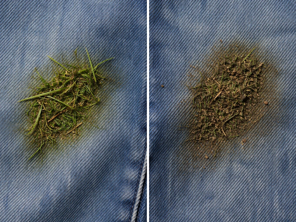 Gros plan comparatif : tache d’herbe fraîche versus herbe incrustée sur jean, avec et sans terre.