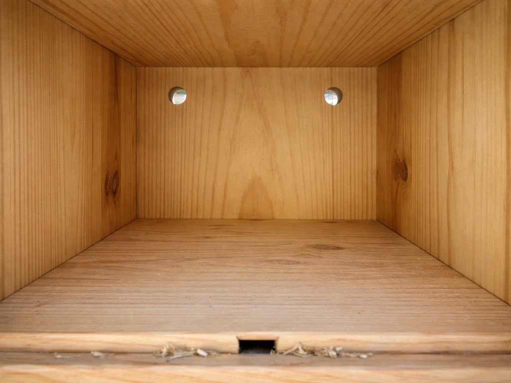 Inside view of a wooden nesting box showing depth, ventilation slots, and a small drainage gap.