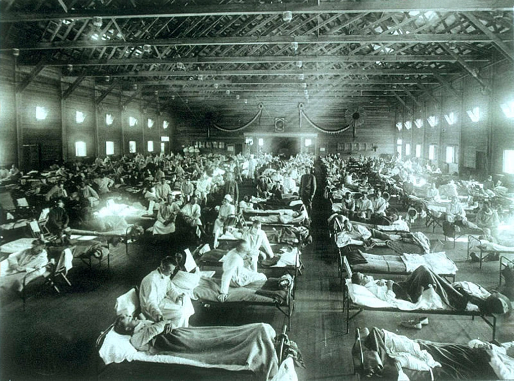 will bird flu become pandemic