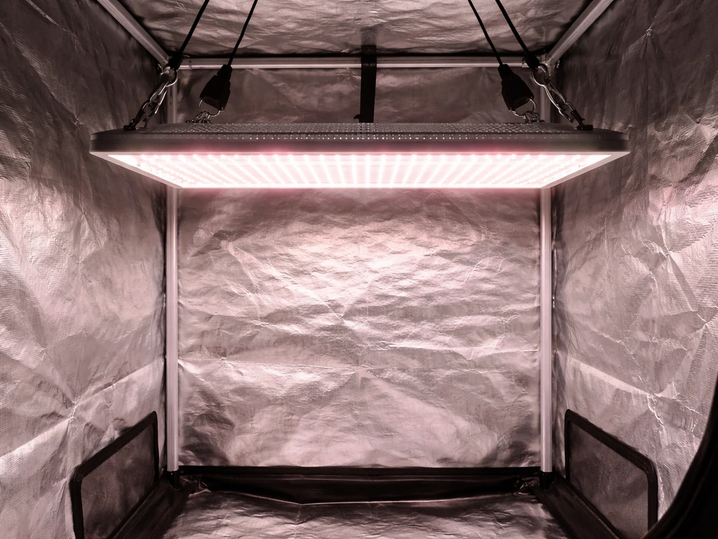 Vogek Grow Light Review: Performance, Coverage, and Value