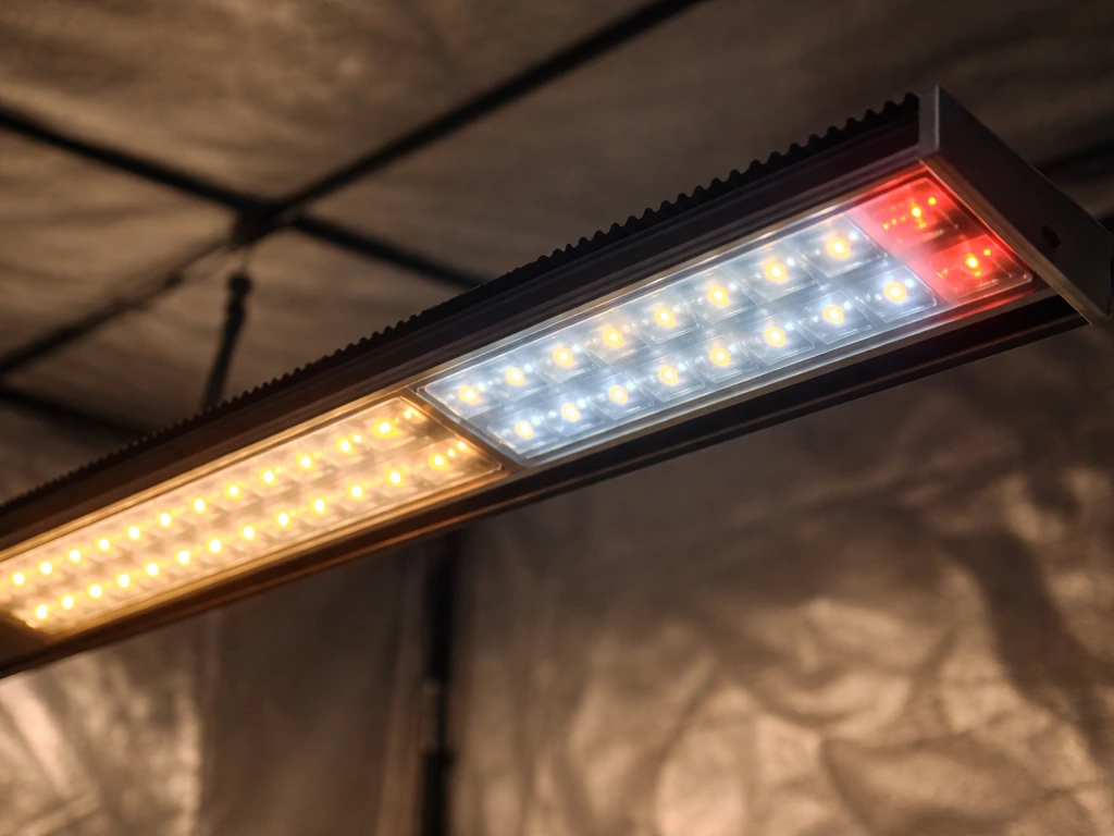 Close-up of warm and cool white LED diodes on a grow light bar with faint red glow, minimal grow-stage setting.