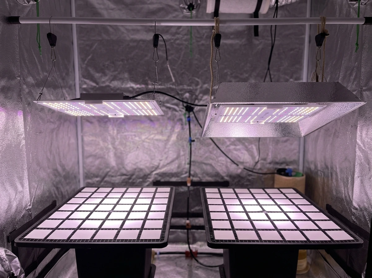 Bare bulb/LED vs reflector hood setup showing different canopy light spread patterns.