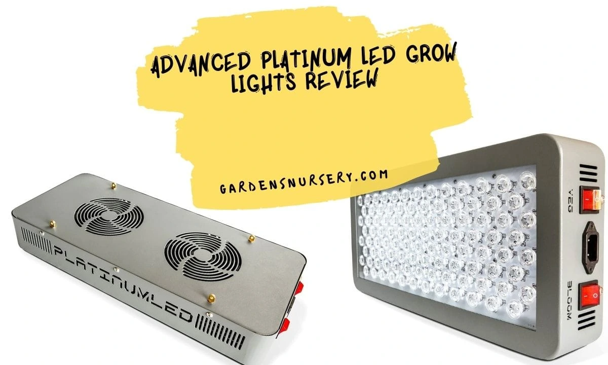 Photo of Diamond Series LED Grow Light Review: Models, PPFD, Coverage