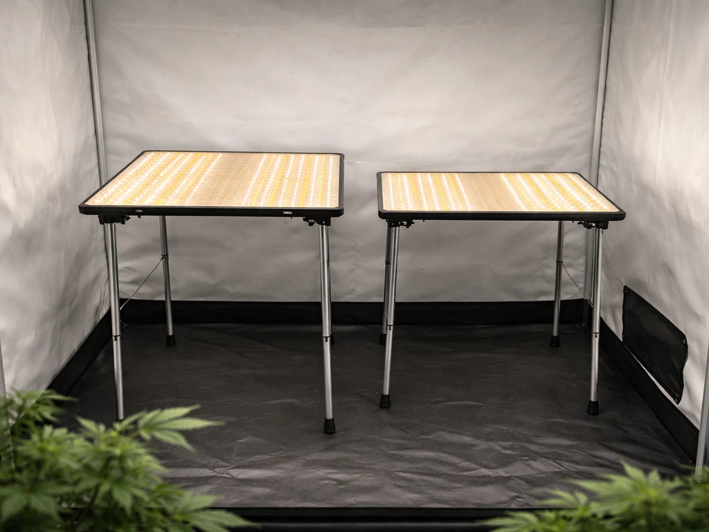 Grow tent corner with two matching LED grow lights side-by-side on a simple rack, showing different footprints.