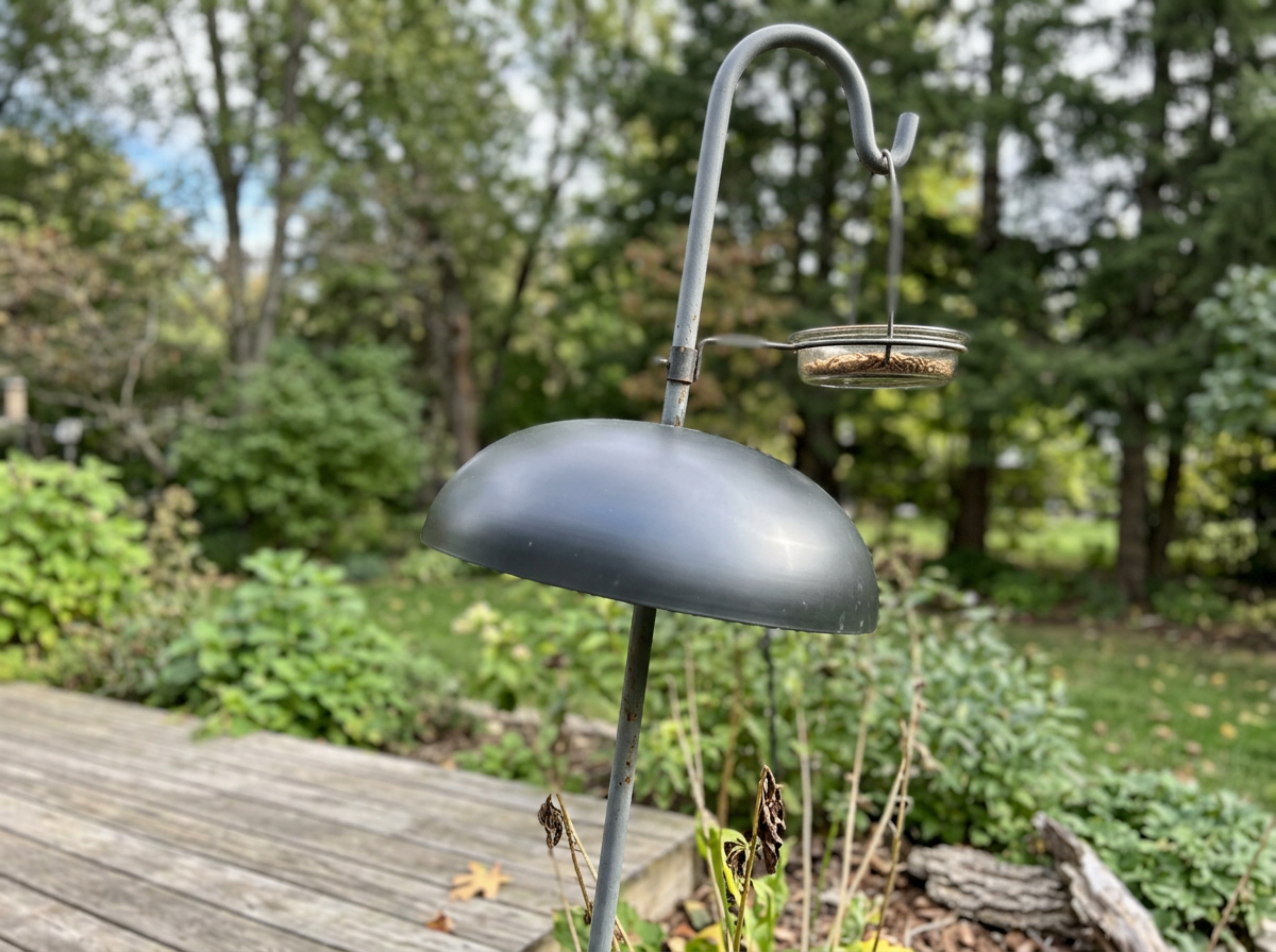 Squirrel baffle installed on a pole below the mealworm feeder