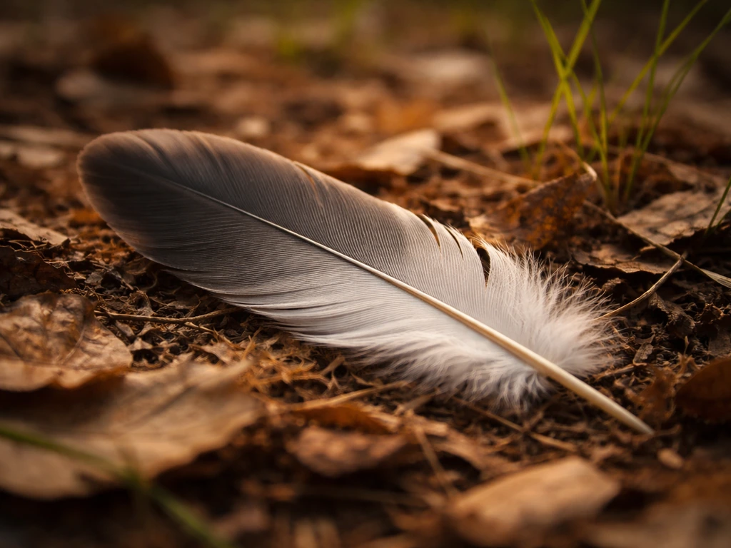 Close-up of a single bird feather on leaf litter and grass in soft natural light.