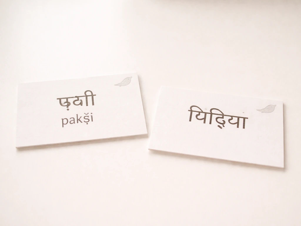 Two simple flashcards on a desk showing Hindi words for “bird” with small bird icons.