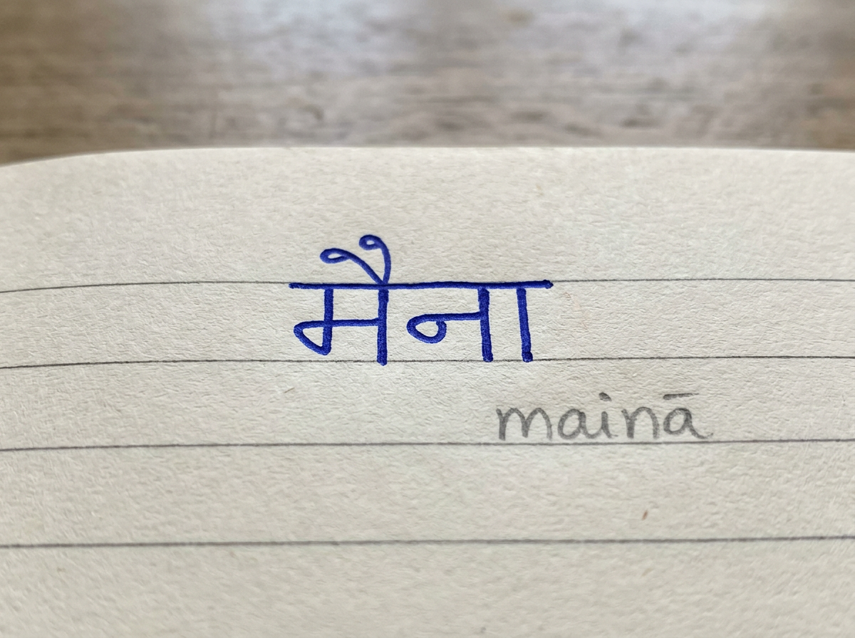 Hindi word मैना written in Devanagari on paper
