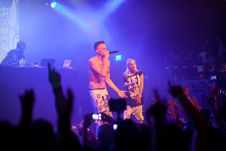 ninja die antwoord net worth