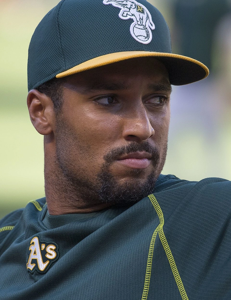 Marcus Semien Net Worth: Estimated Value and Wealth Breakdown