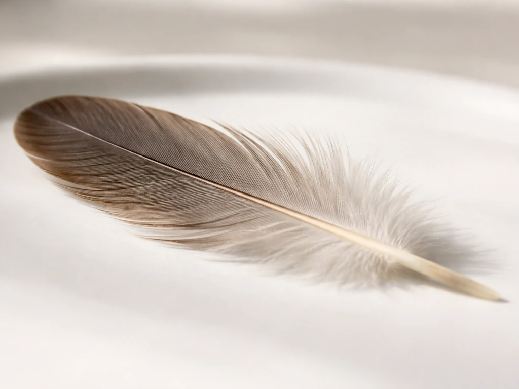 Close-up of a single bird feather on a clean, dry white surface with soft natural light.
