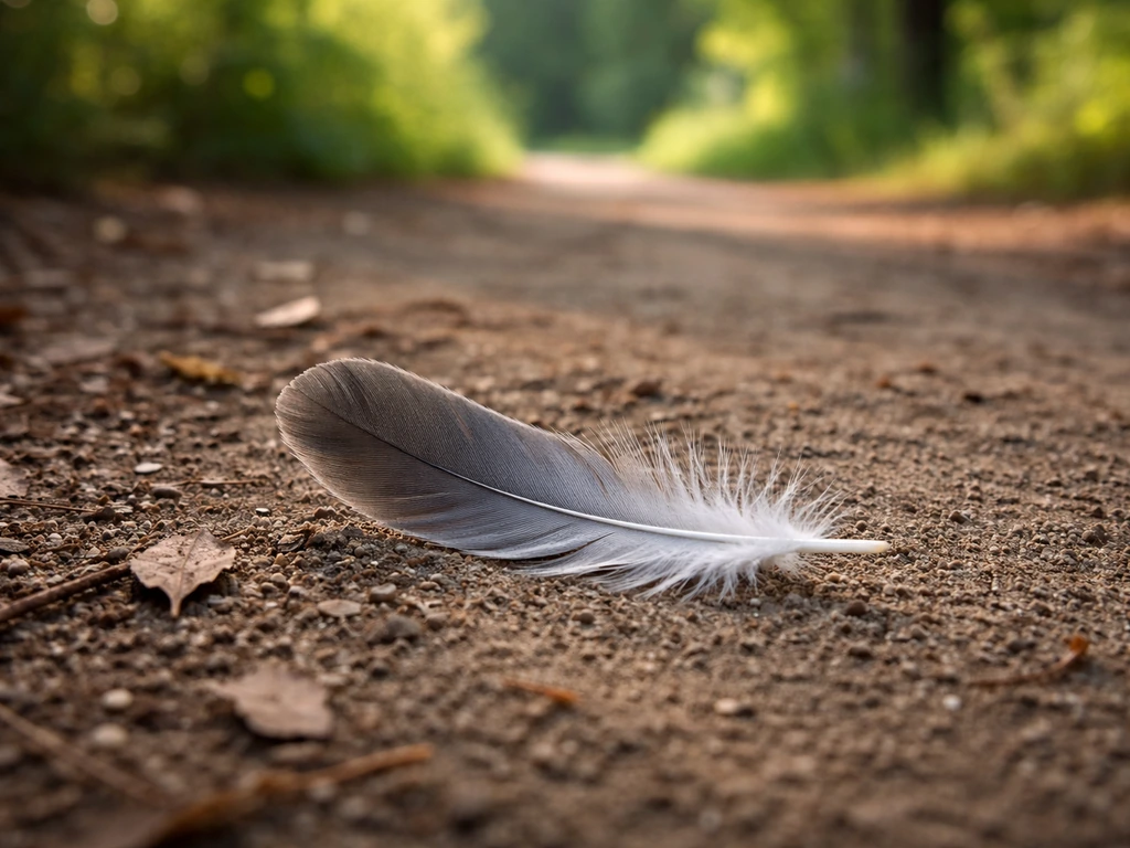 is it safe to pick up a bird feather