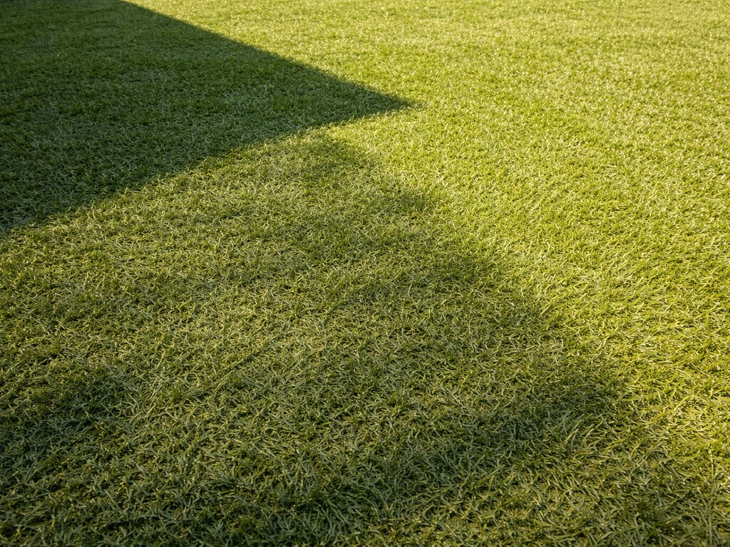 Gazon synthétique et canicule : quoi faire dès maintenant