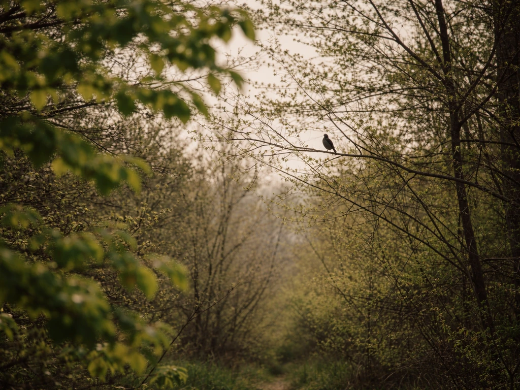Minimal outdoor scene showing scanning leaves for movement and a distant bird silhouette among branches.