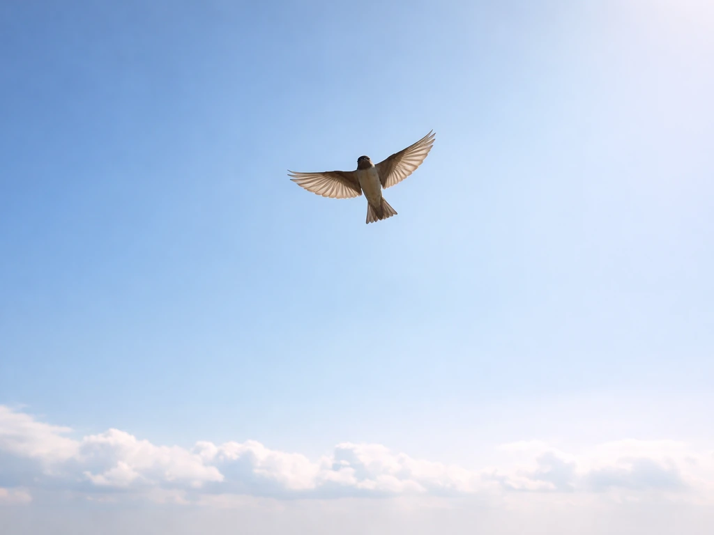 Single bird soaring overhead with wide wings against a bright sky, suggesting freedom and transcendence.