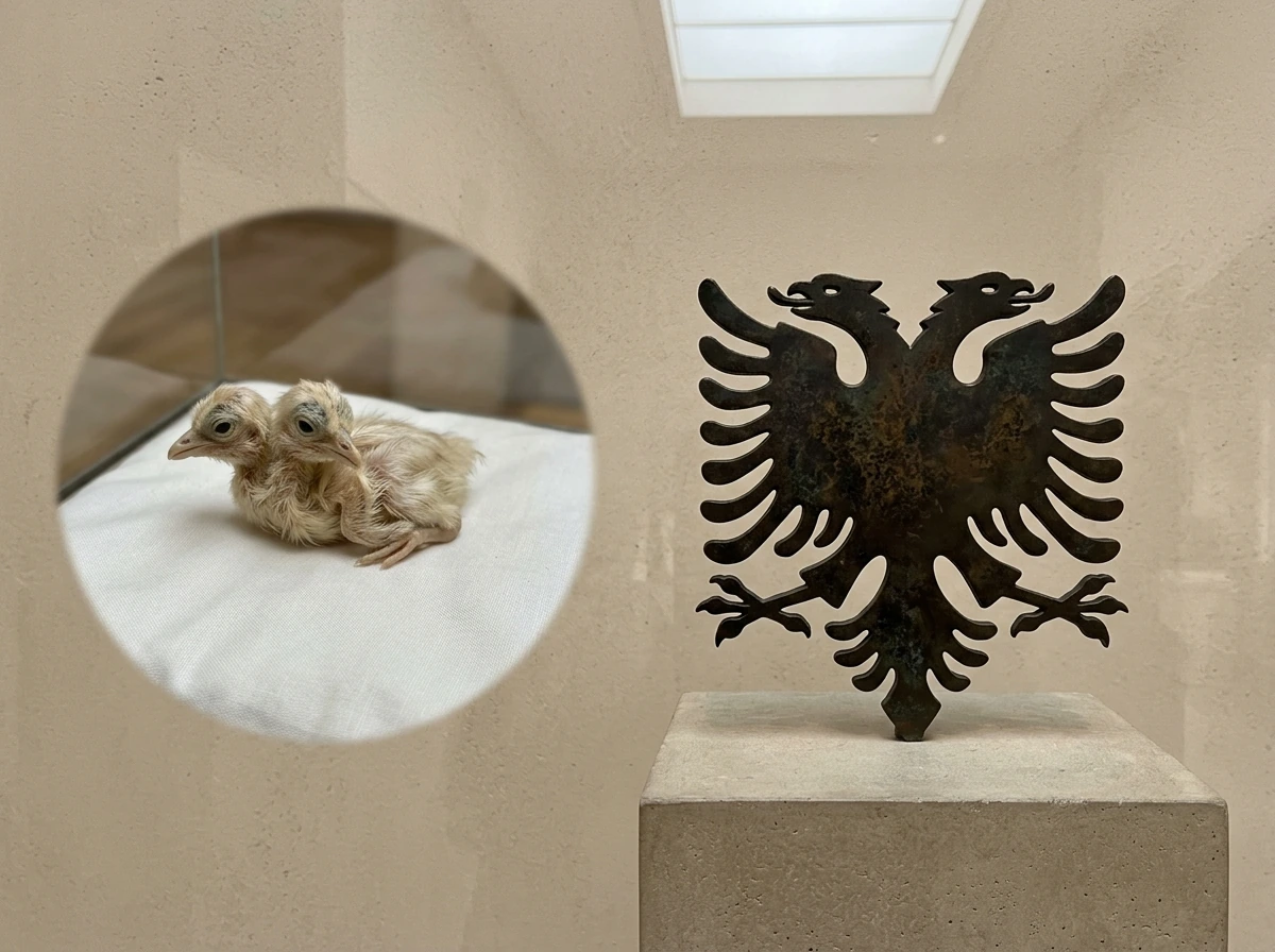 2 Headed Bird Meaning: Biology, Symbols, and Metaphors