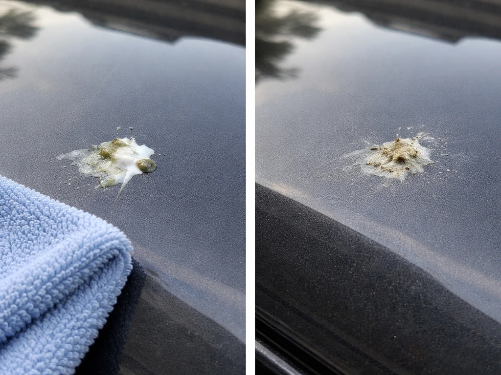 Side-by-side close-up of fresh wet vs dried bird droppings on car paint, with etched damage on the dried side.