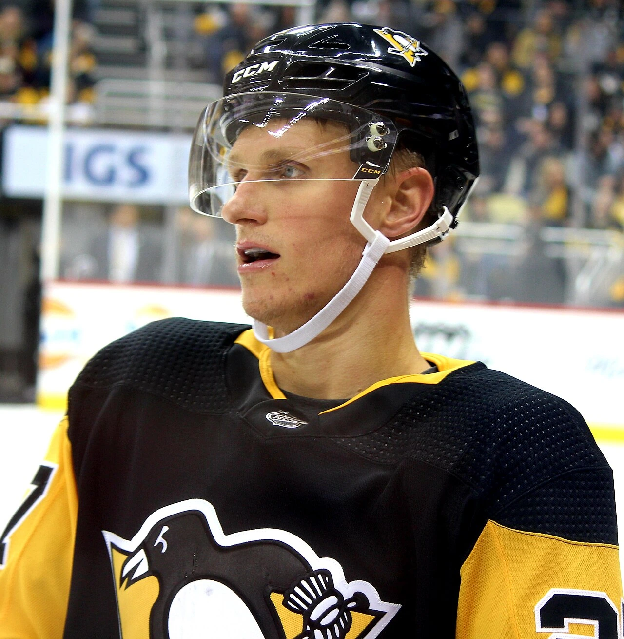 Nick Bjugstad Net Worth: Estimate, Earnings, and Income