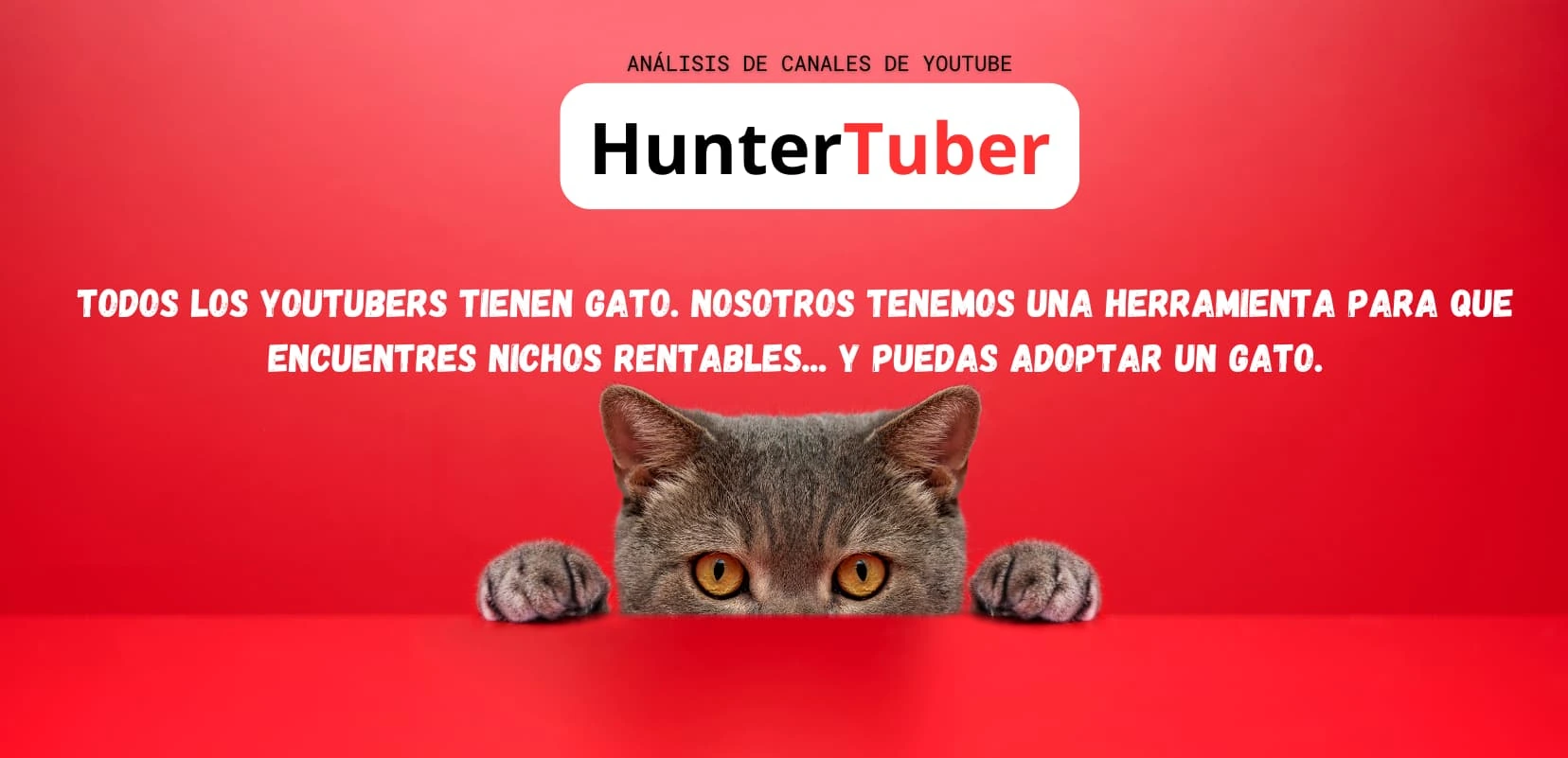 Photo of Xander Budnick Canadian YouTube creator