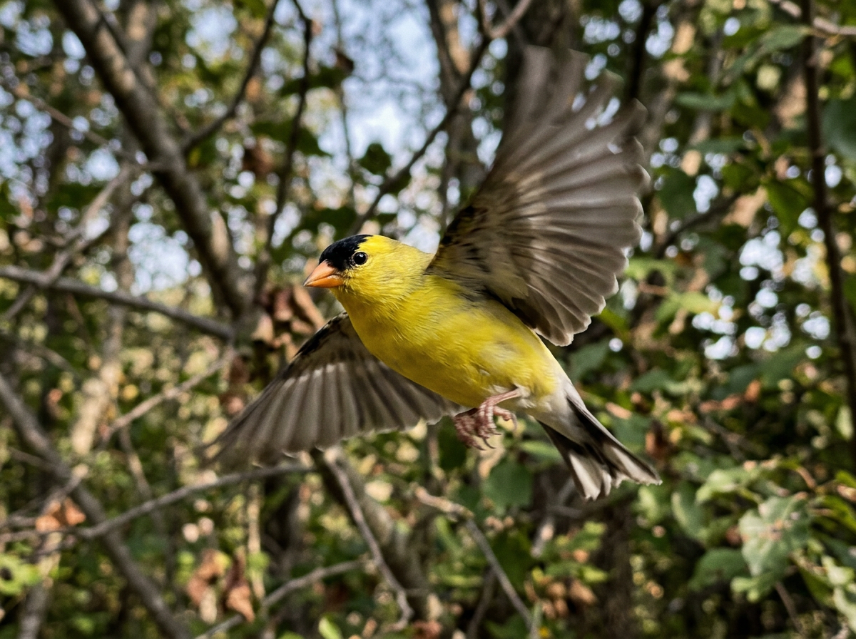 Why Are Bird Movements So Jerky? Causes and What to Do