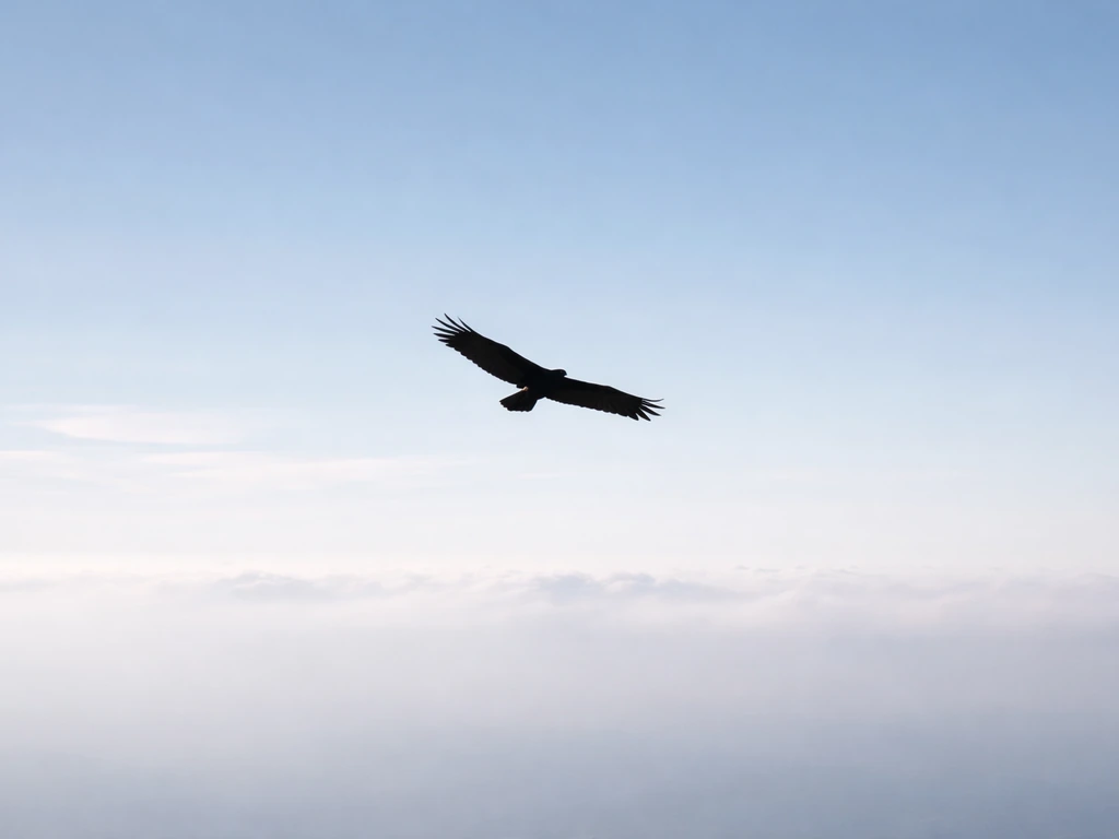 Soaring bird gliding in open sky with a subtle atmospheric haze suggesting thinner air at altitude.
