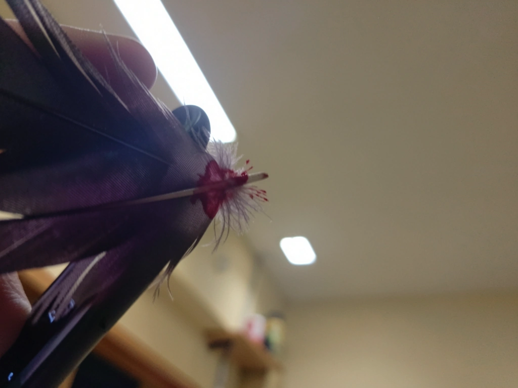 Phone camera showing color cast that can make dark blood look purple indoors