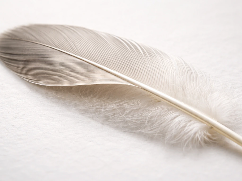 Macro view of a single bird feather on a clean neutral surface, showing outer texture vs inner cleanliness.