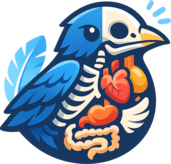 Bird Anatomy And Physiology