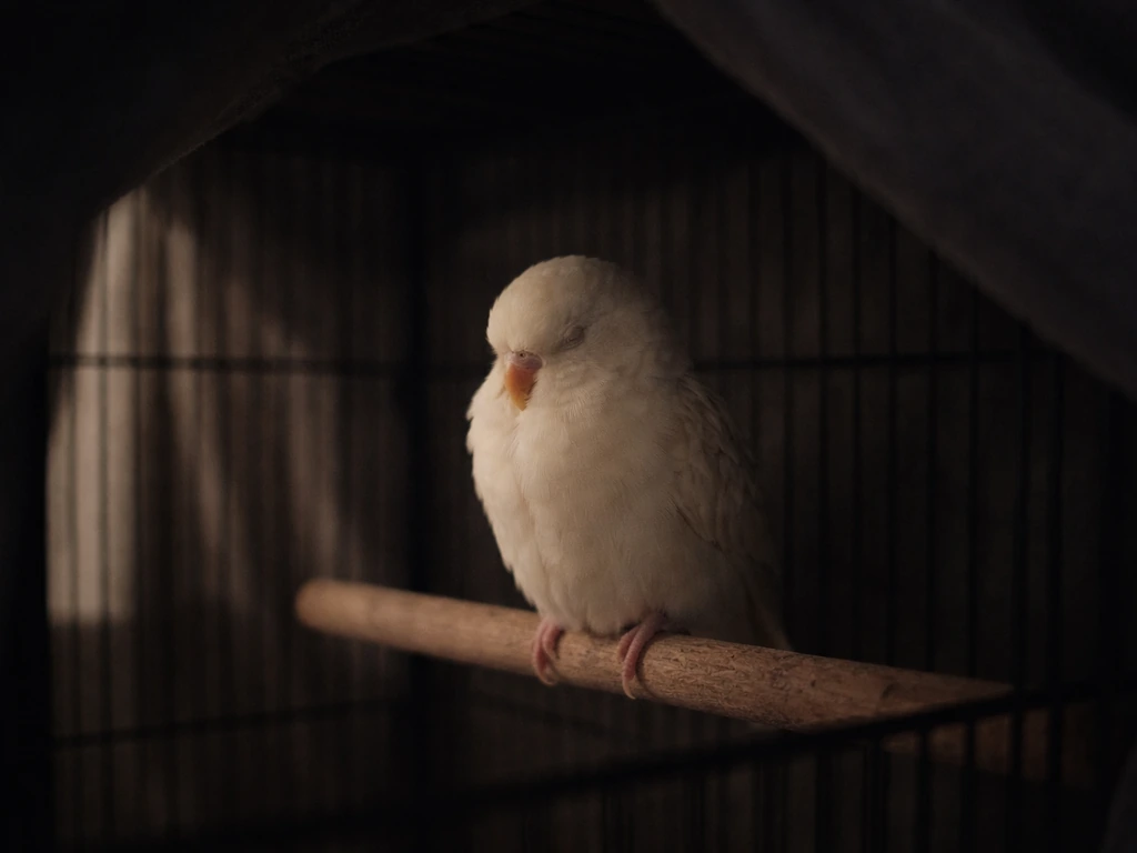 A small bird calmly resting in a dim, covered sleep cage, suggesting quiet darkness for better sleep.