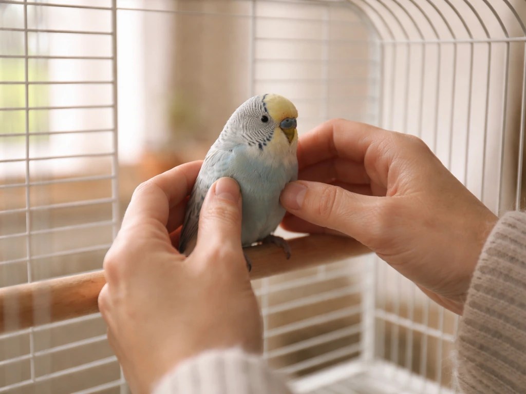 Why Is My Bird Not Moving? Quick Checks and Emergency Steps