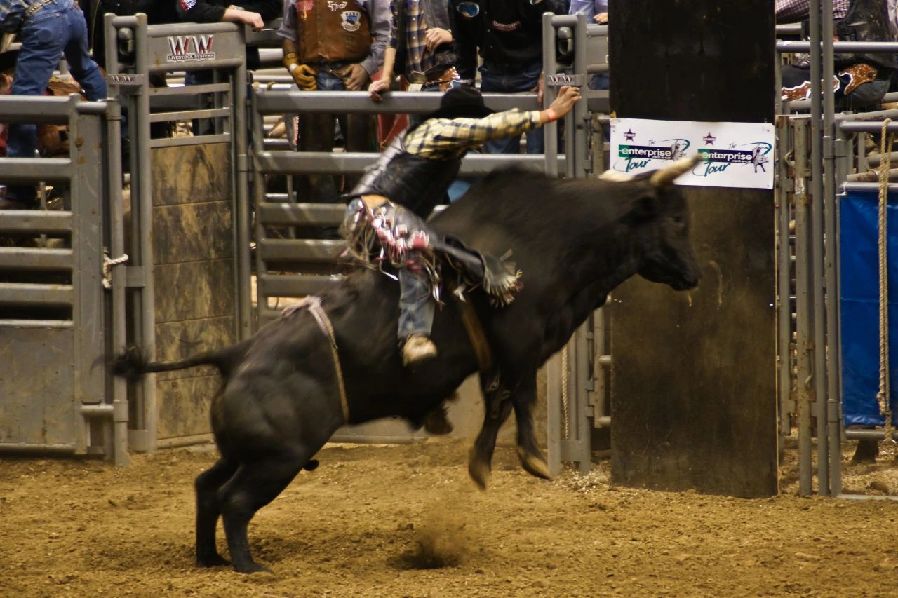 Binion Cervi Net Worth: How to Estimate and Verify